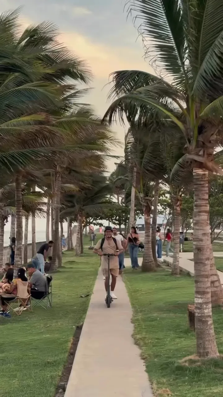 Experiencia 4